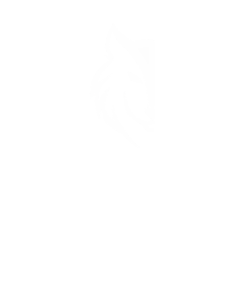 LHA logo small white transparent